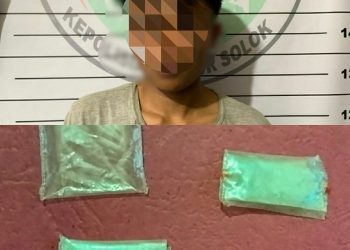 Warga Jorong Limau Puruik Diciduk oleh Satresnarkoba Polres Solok