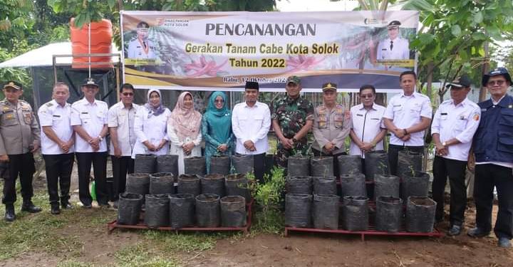 Wawako Canangkan Gerakan Tanam Cabe