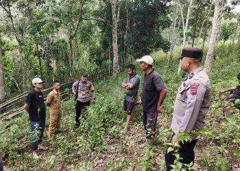 Harimau meresahkan warga, 14 Ekor Kambing Milik Roy jadi korban.