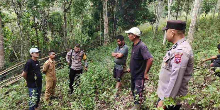 Harimau meresahkan warga, 14 Ekor Kambing Milik Roy jadi korban.