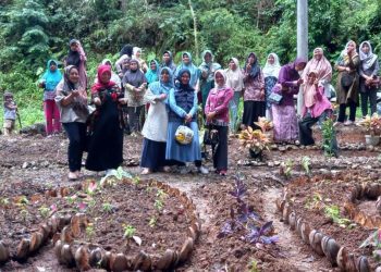 Ketua TP PKK Kec.Kubung Ny. Novia Linda Sujanto Lakukan Pembinaan Dasa Wisma ke Nagari Panyakalan.