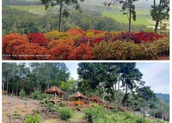 Puncak Grand Hexagon Terancam Tutup Pasca BPN Panyakalan Menghentikan Pembiayaan