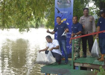Peringati HUT ke-42, Bukit Asam Tebar 11.000 Benih Ikan di Sungai Enim
