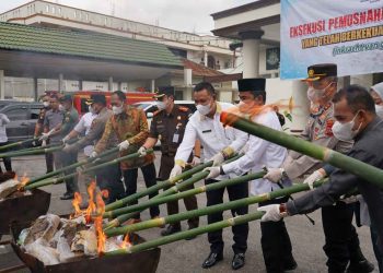 Bupati Solok Ikut Pemusnahan BB di Kantor Kejaksaan Solok