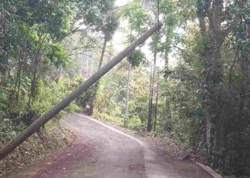 Tiang Listrik Hampir Roboh, Warga Cemas