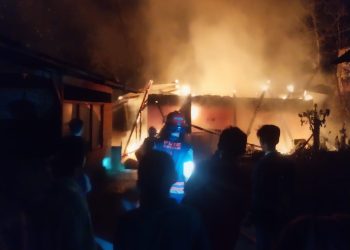 SDN 38 Tanjung Bingkung dimamah Sijago merah