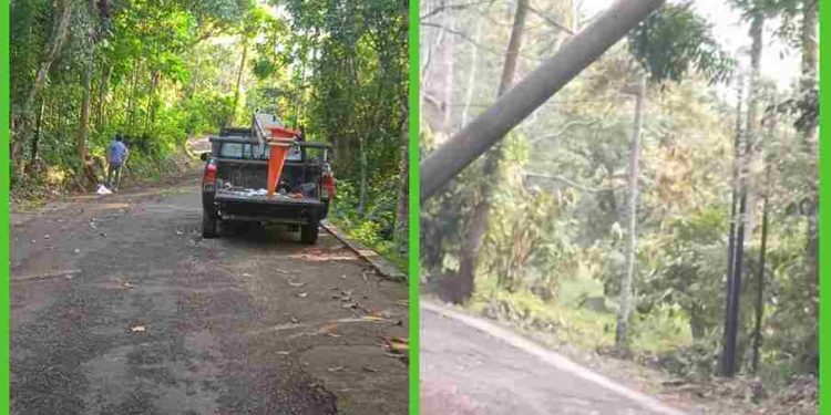 Respon Cepat PLN, Warga Ucapkan Terima Kasih