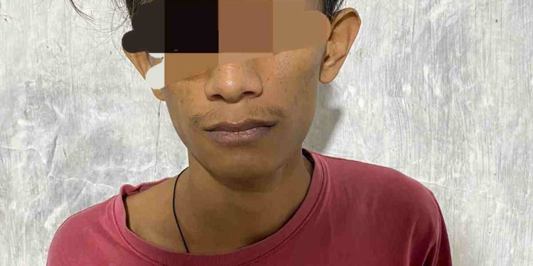 Kurir Sabu Ditangkap Di Koto Baru