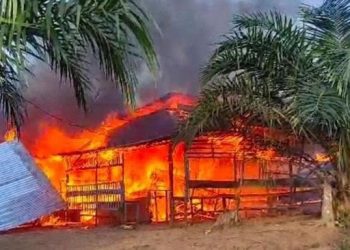 The Power of Emak-Emak