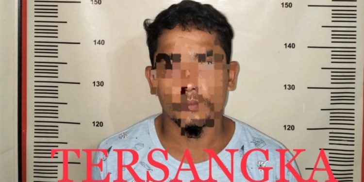 Cabuli Anak Tiri Berkali kali, Ayah di Sekupang di Tangkap Polisi