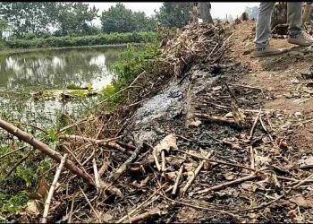 Oknum ASN Mura Diduga Rusak Kolam Pengusaha Ikan