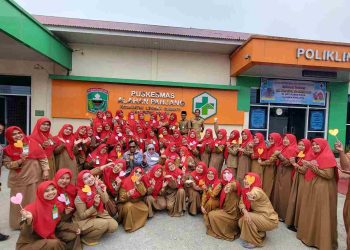 Tim Surveyor Re-Akreditasi Apresiasi yang Tinggi Terhadap UPT Puskesmas Alahan Panjang