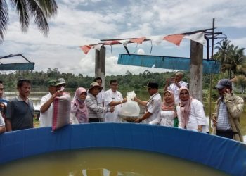 Alimuhar Sutan Tunaro  Hadiri Serah Terima Bibit Ikan di Talago Pulai