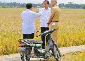 Motor Jadul Astrea Grand Yang Viral