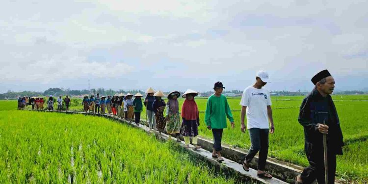 P3A Banda Tangah Dan Keltan adakan Tradisi Tulak Bala.