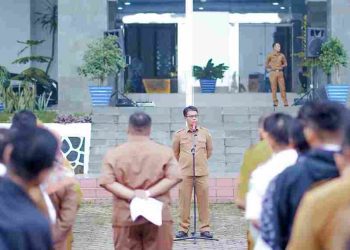 Kepala DPMN, Romi Hendrawan : 10 Nagari Telah Berhasil menjadi Nagari Mandiri di Kab. Solok