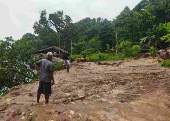 Jalan Padang Panjang-Solok Tertutup Longsor, BPBD Kabupaten Solok Turun ke Lokasi