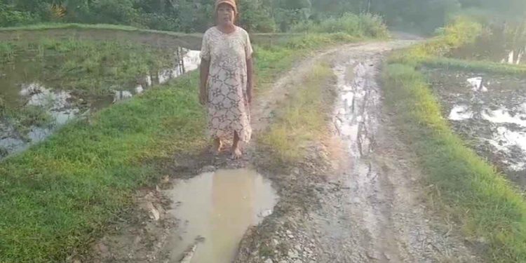 Terus Dijanjikan Perbaikan jalan, Masyarakat Sulit Air menangis menangih janji ke Nagari