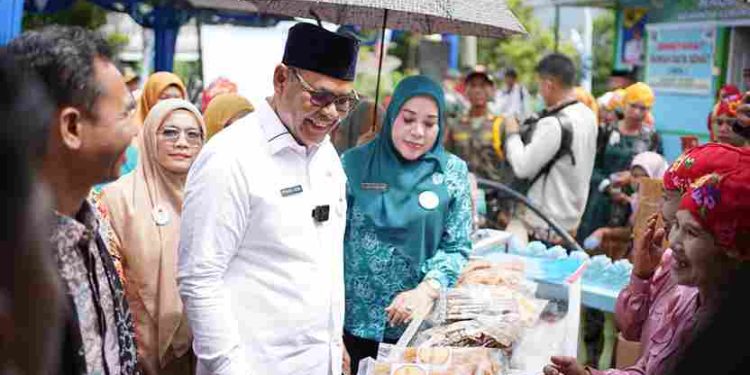 Bupati Solok sambut Tim Verifikasi Lapangan Kampung Keluarga Berkualitas Tingkat Nasional Tahun 2024