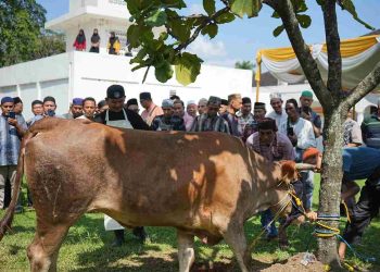 Jelang Idul Adha, Bukit Asam (PTBA) Gelar Pelatihan Penyembelihan Hewan Kurban