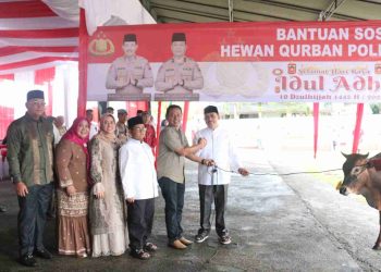 Polda Sumbar Berkurban 154 Sapi dan 19 Kambing, Kapolda serahkan 1 Ekor untuk PWI Sumbar