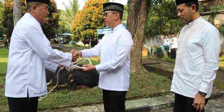 Kerahkan Personel Bhabinkamtibmas, Polda Sumsel Bagikan Daging Kurban Hingga ke Masyarakat Pelosok