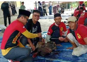 IKM Kab.Banyuasin Semblih Hewan Qurban 7 Ekor Sapi dan 3 Ekor Kambing