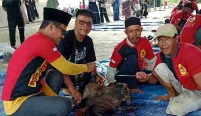 IKM Kab.Banyuasin Semblih Hewan Qurban 7 Ekor Sapi dan 3 Ekor Kambing