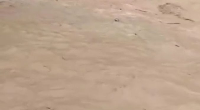 Batang Air Sianok Meluap, Warga Mengungsi