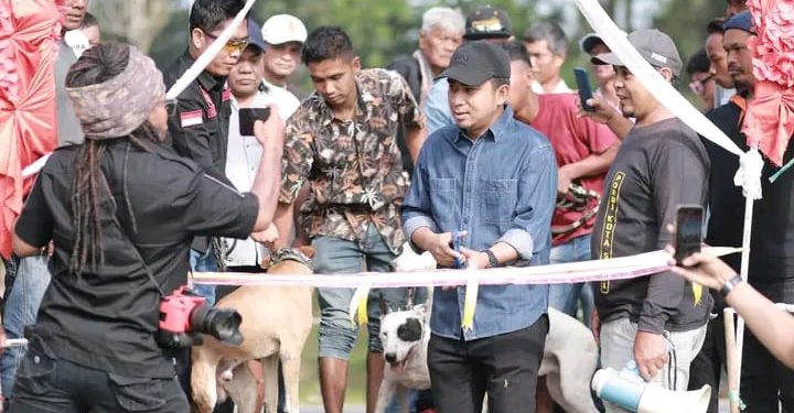 Wawako Solok Buka Acara Alek Nagari Buru Babi