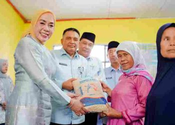 Ketua TP PKK Kabupaten Solok Kunjungi Kader Posyandu Nagari Sariak Alahan Tigo