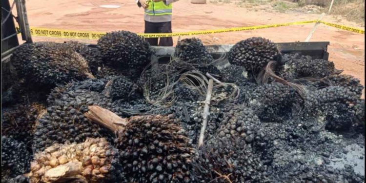Tiga Pelaku Curat Dimasa Oleh Warga dan Langsung Diamankan Polsek Tungkal Ilir