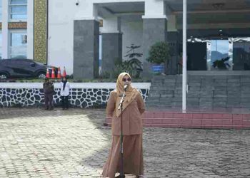 Kadis Kominfo Berharap Dukungan dan Support dari OPD Kab Solok Agar Nilai SPBE Meningkat