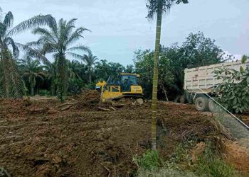 Diduga Belum Kantongi Perizinan Resmi, PT Wira Agung Sudah Beroperasi di Musi Banyuasin