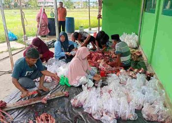 MIN Kota Solok Gelar Kurban Perdana: 2 Ekor Sapi dan 1 Ekor Kambing Disembelih, Dihadiri Kakankemenag Kota Solok